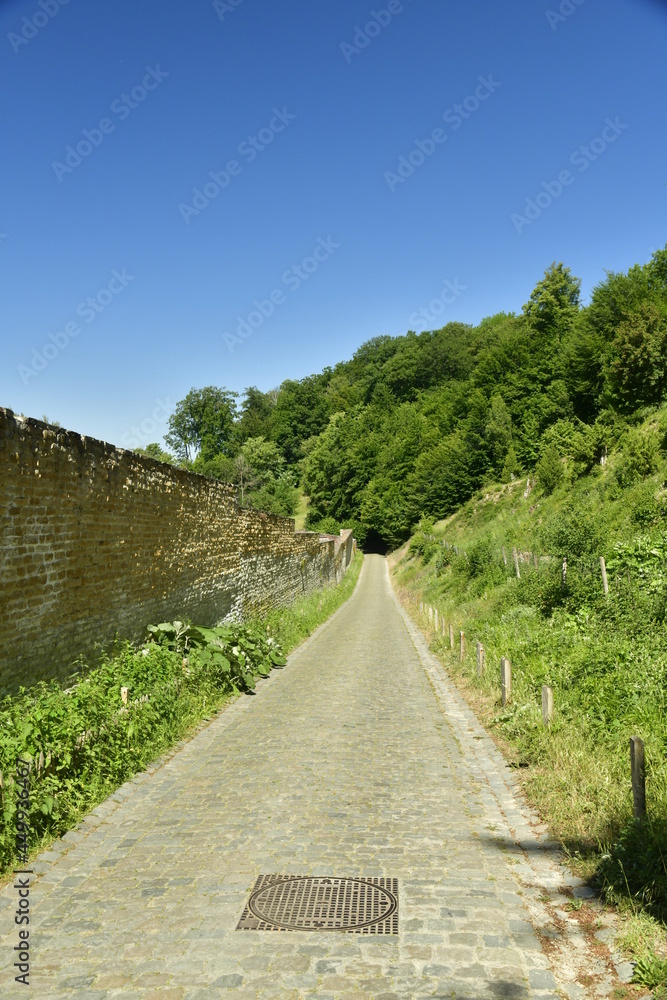 Petite route à pavés longeant le mur d'enceinte de l'abbaye du Rouge Cloître en forêt de Soignes à Auderghem