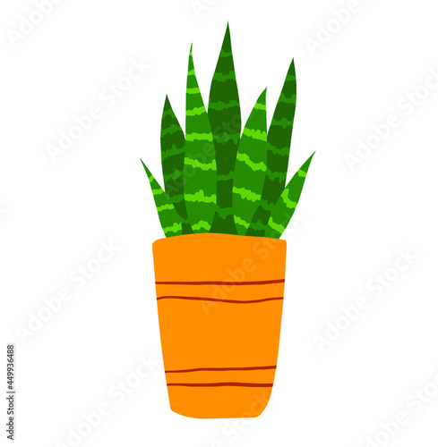 Vector hand drawn sansevieria clip art isolated on white background. Green sansevieria flower in a pot illustration. House plant clipart.