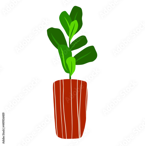 Vector hand drawn ficus clip art isolated on white background. Ficus lyrata in a pot illustration. House plant clipart.