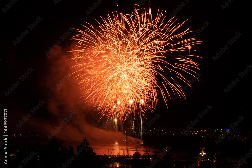 Feu d'artifice de Pyragric lors du festival pyrotechnique de Cannes Feu d'artifice de Pyragric lors du festival pyrotechnique de Cannes