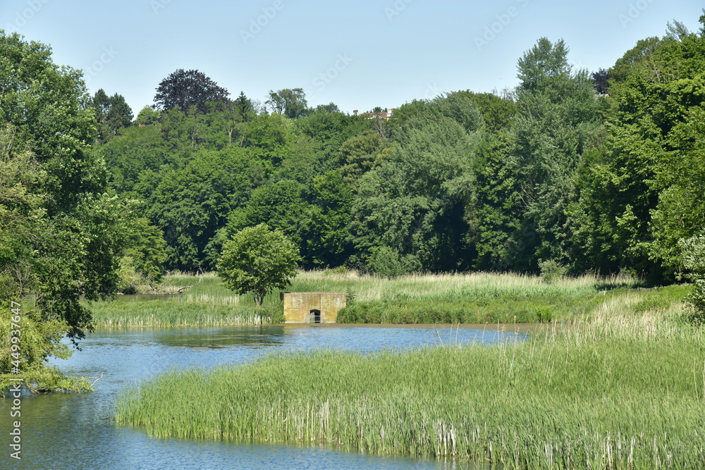 Obraz premium le petit étang de Lange Gracht et le mini-pont en pleine végétation sauvage de la forêt de Soignes au domaine de l'abbaye du Rouge-Cloître à Auderghem