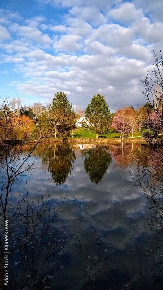 Spring Reflection