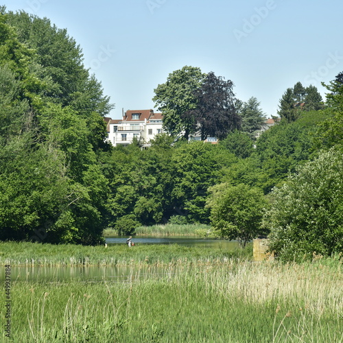 Façades arrières de maison dominant la végétation sauvage du domaine de l'abbaye du Rouge-Cloître en Forêt de Soigne à Auderghem  photo