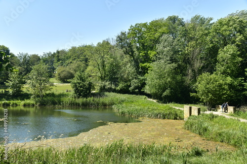 le petit   tang de Lange Gracht et le mini-pont en pleine v  g  tation sauvage de la for  t de Soignes au domaine de l abbaye du Rouge-Clo  tre    Auderghem