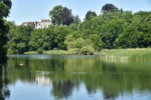 Le grand étang de Lange Gracht dans un cadre bucolique de la forêt de Soignes au domaine de l'abbaye du Rouge Cloître à Auderghem 