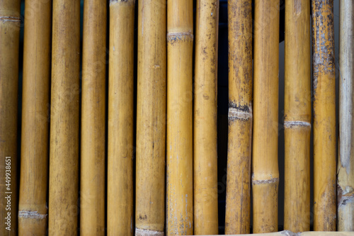 bamboo texture for background.