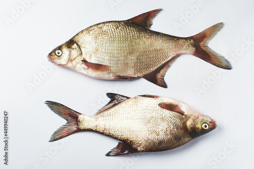 Freshwater silver bream fish.