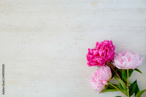 Studio shot of beautiful peony flowers over wood textured tabletop background with a lot of copy space for text. Feminine floral composition. Close up, top view, backdrop, flat lay. © Evrymmnt