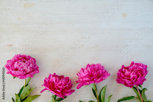 Studio shot of beautiful peony flowers over wood textured tabletop background with a lot of copy space for text. Feminine floral composition. Close up, top view, backdrop, flat lay.