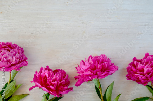 Studio shot of beautiful peony flowers over wood textured tabletop background with a lot of copy space for text. Feminine floral composition. Close up, top view, backdrop, flat lay.