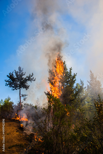 Forest brigade members fight a fire in Argentine Patagonia. © Gonzalo