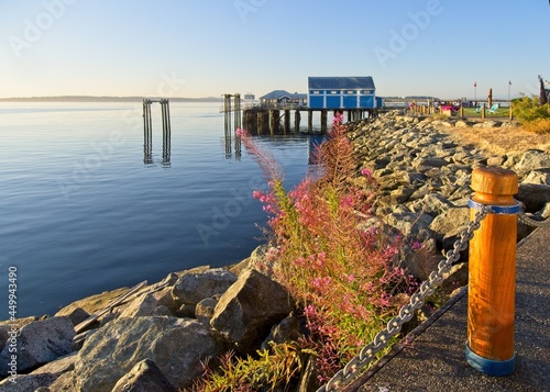 Spectacular view of Sidney BC shore at the sunrise © pr2is