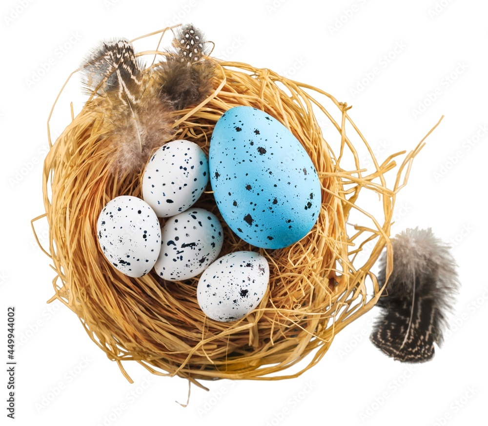 Obraz premium Easter.