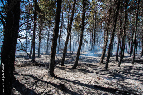 Forest brigade members fight a fire in Argentine Patagonia.