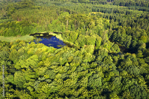 Gribskov Forest is one of Denmark’s largest and most beautiful natural areas. Gribskov Forest is UNESCO World Heritage Site photo