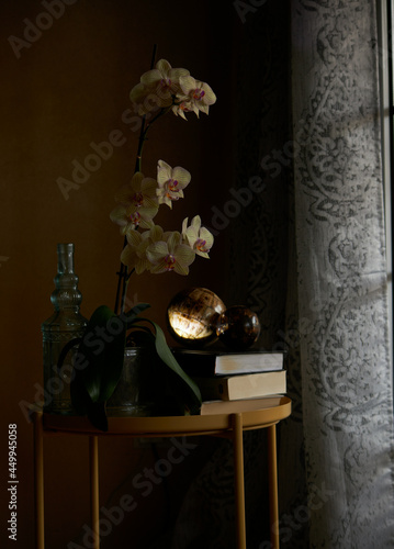Fototapeta Naklejka Na Ścianę i Meble -  orchid, books and bottle in front of window at home