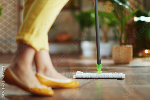 Woman at home in sunny day doing household work photo