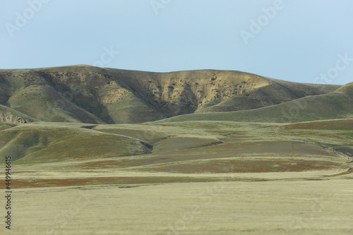 Green rolling hills of Central California are shown in a landscape view during the day.