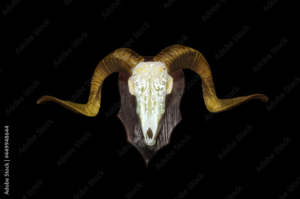 Ram skull with horns. A pattern carved into the skull of an animal. Isolate on a black back Ram skull with horns. A pattern carved into the skull of an animal. Isolate on a black back