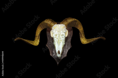 Ram skull with horns. A pattern carved into the skull of an animal. Isolate on a black back