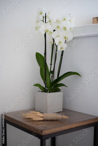 Una mesita con un orquídea blanca y un adorno de espigas photo