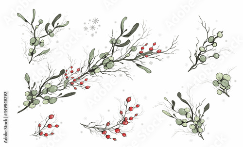 A set of winter berries ( Viscum ), isolated on a white background. realistic branches, hand-drawn in vintage style. decorations for seasonal postcard, poster, print, holiday. vector illustration