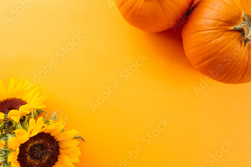Clean warm autumn composition with copy space. There are pumpkins and sunflowers on a yellow background.
