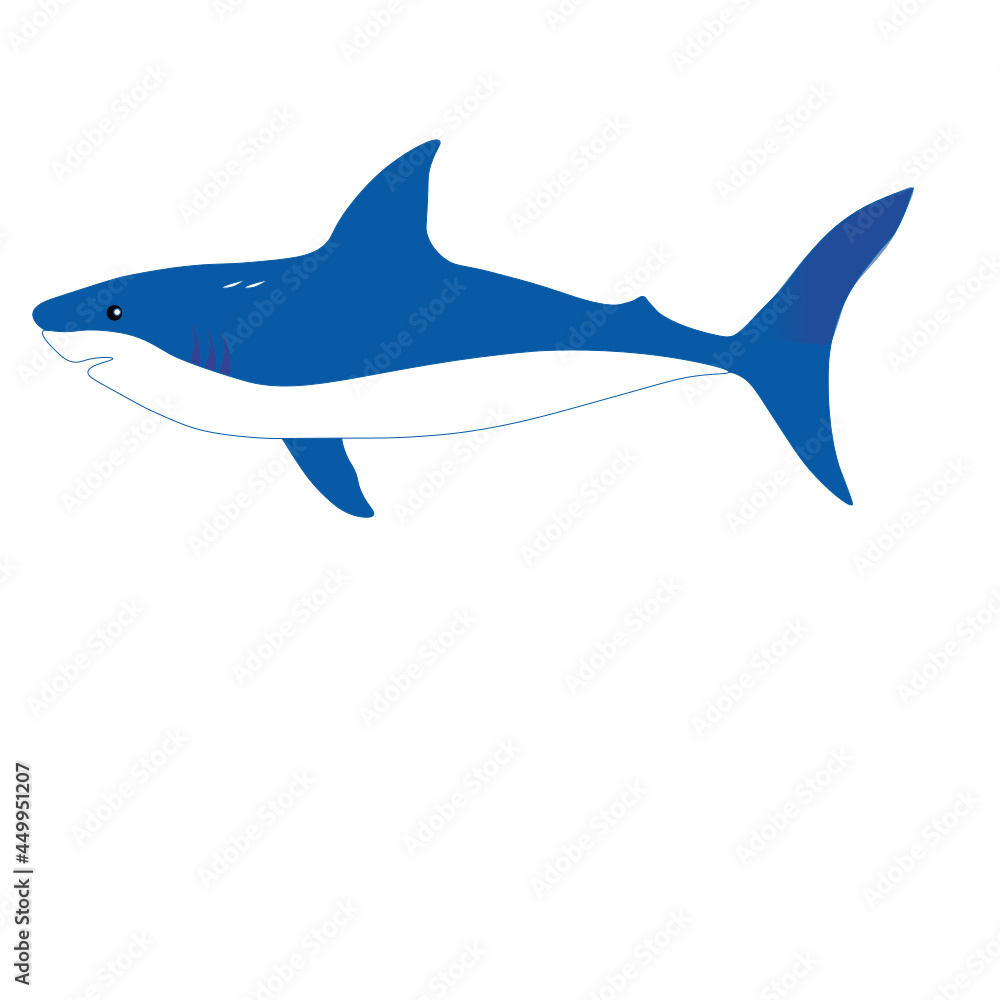 shark cartoon shark cartoon