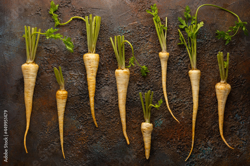 Organic parsnips on textured background. Autumn harvest of root vegetables. Concept healthy food.