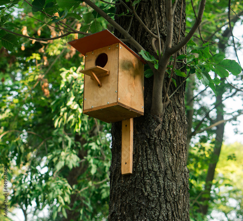 Birdhouse on a tree, in the warm season, in the forest © A_A88