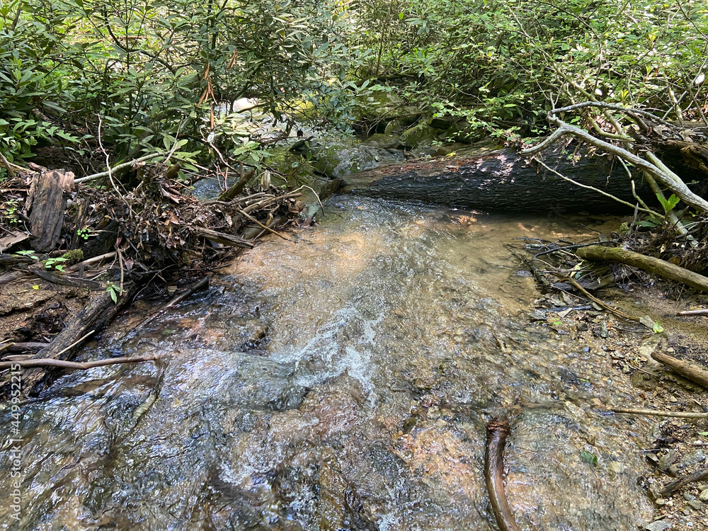 Obraz premium mountain stream