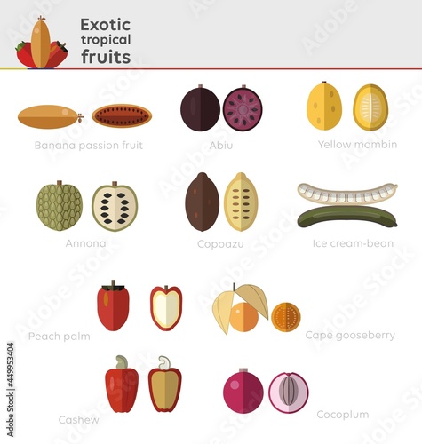 10 Exotical Tropical Fruits In Flat Design, Interior And Exterior View. Set of Tropical Fruits