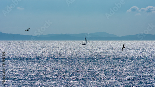 A sailing boat on a silver sea with a couple of seagulls.