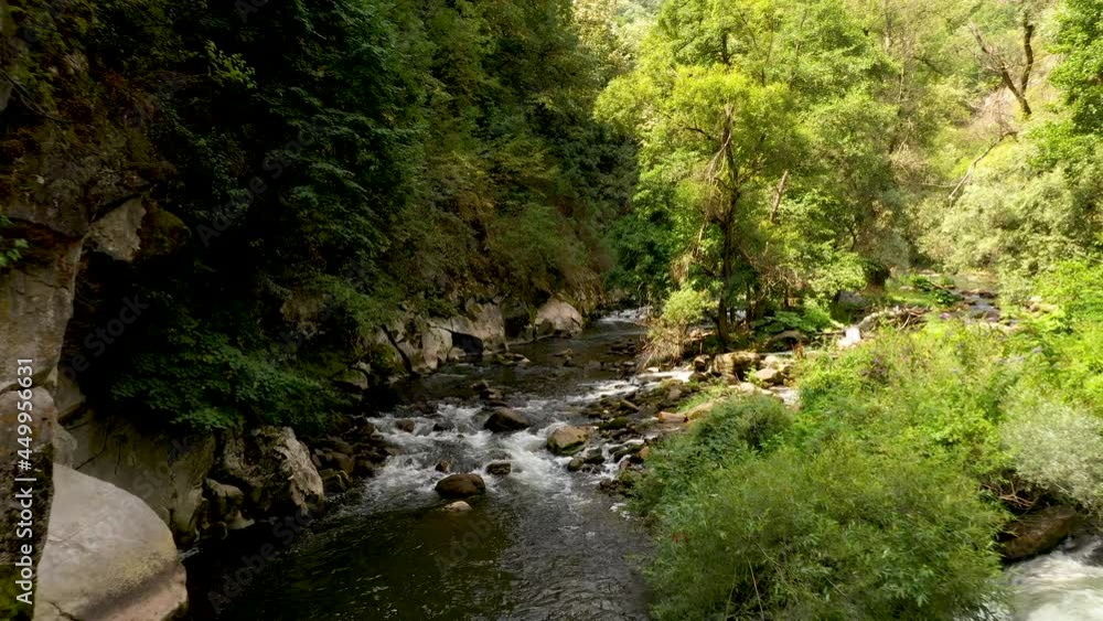 Low, slow flight over a mountain river upstream. Wildlife In Bulgaria. Blue cold water of a mountain river. Low, slow flight over a mountain river upstream. Wildlife In Bulgaria. Blue cold water of a mountain river.