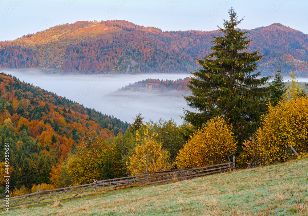 Cloudy and foggy autumn mountain early morning pre sunrise scene. Ukraine, Carpathian Mountains, Transcarpathia.