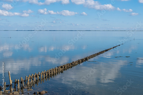 Faschinen in Lahnungen. Insel Föhr photo