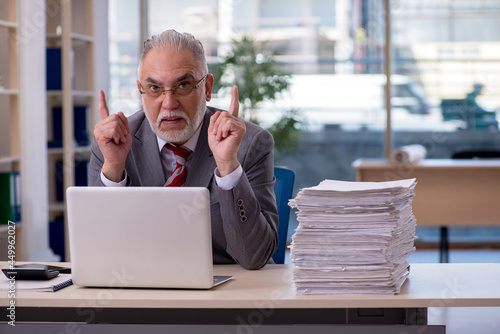 Aged businessman employee working in the office