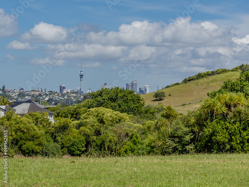 Auckland City from Meadowbank photo