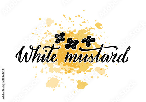 Vector illustration of white mustard lettering for packages, product design, banners, stickers, spice shop price list and decoration. Handwritten phrase with floral graphic elements for web or print
