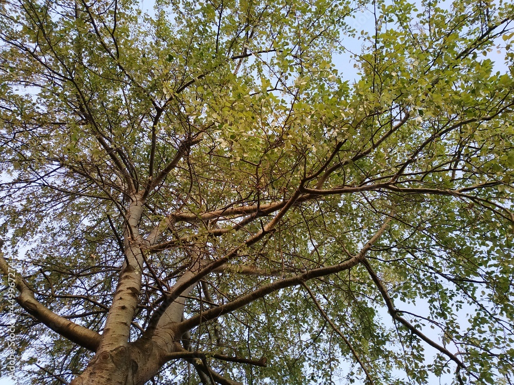 Fototapeta premium Paisajes