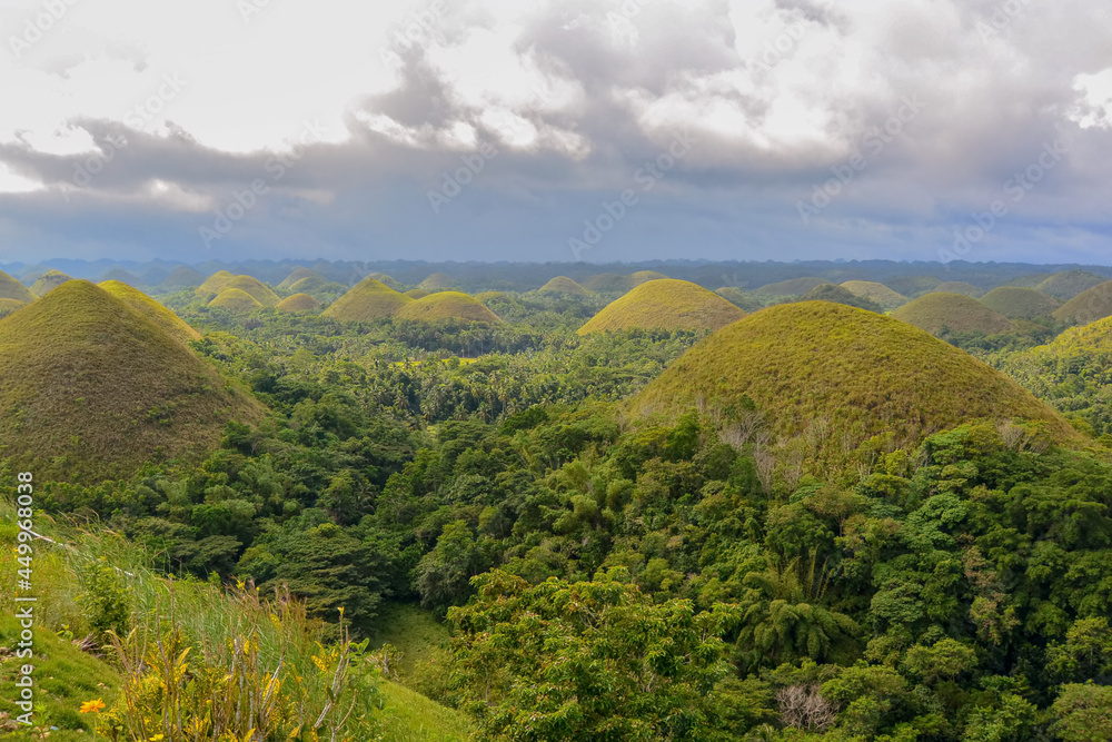 Landscape of the Chocolate Hills, Bohor, Philippines