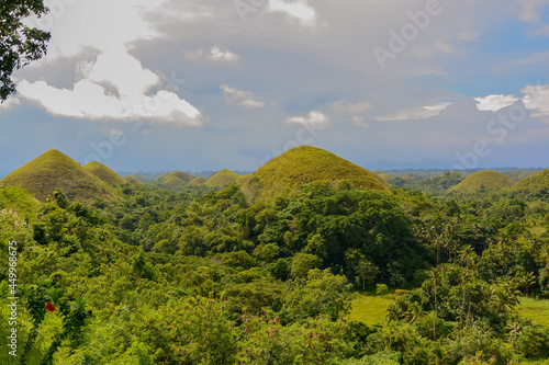 Landscape of the Chocolate Hills, Bohol, Philippines