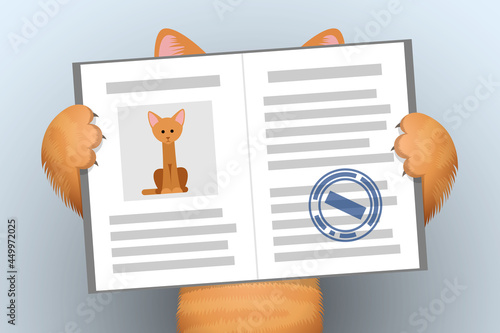 Pet passport is in paws of ginger cat, veterinary document