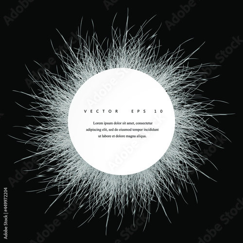 Abstract 3D circle papercut layout. White and black background with fluffy effect. Vector illustration.