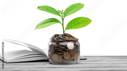 Slika na platnu Money saving growth.