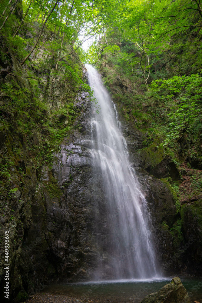 東京都西多摩郡奥多摩町の川苔山に登山している風景 Scenery of climbing Mt. Kawanori-yama in Okutama-cho, Nishitama-gun, Tokyo. 東京都西多摩郡奥多摩町の川苔山に登山している風景 Scenery of climbing Mt. Kawanori-yama in Okutama-cho, Nishitama-gun, Tokyo.