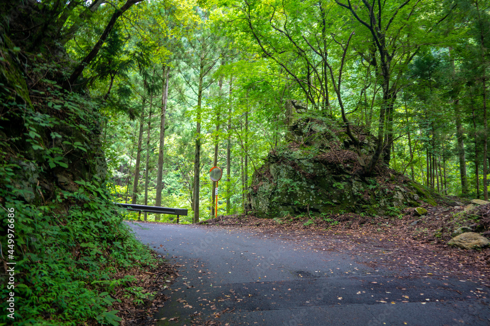 Naklejka premium 東京都西多摩郡奥多摩町の川苔山に登山している風景 Scenery of climbing Mt. Kawanori-yama in Okutama-cho, Nishitama-gun, Tokyo.