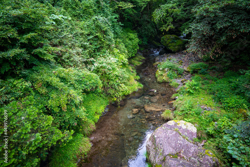                                                                          Scenery of climbing Mt. Kawanori-yama in Okutama-cho  Nishitama-gun  Tokyo.