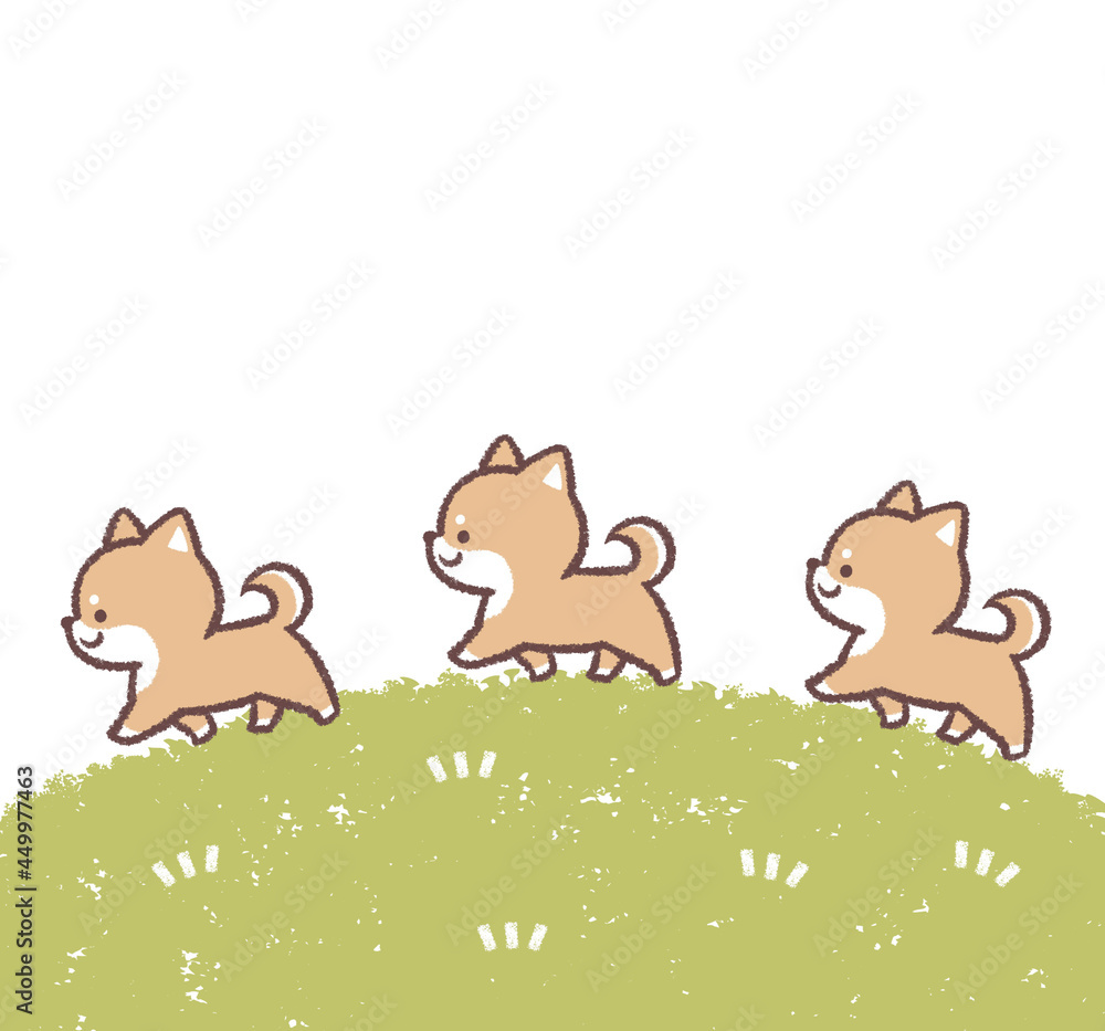 歩く柴犬と芝生のフレーム