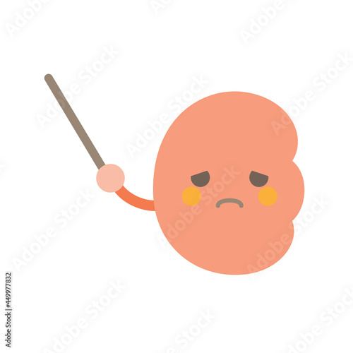 指示棒腎臓悲しむ